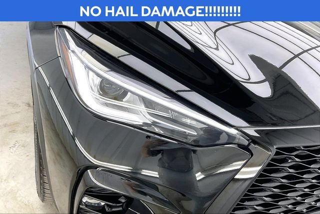2025 INFINITI QX50 SPORT