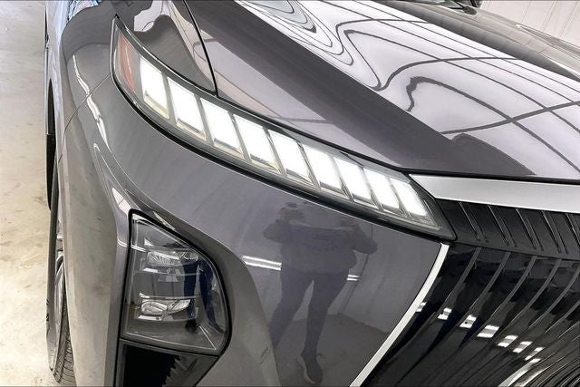 2025 INFINITI QX80 LUXE PRO PILOT 2.1